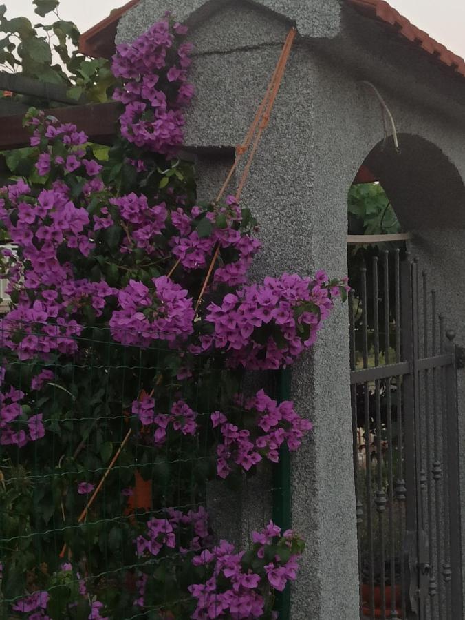 Apartmani Mislav Slatine Exterior foto